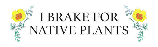 "I Brake For Native Plants" Bumper Sticker