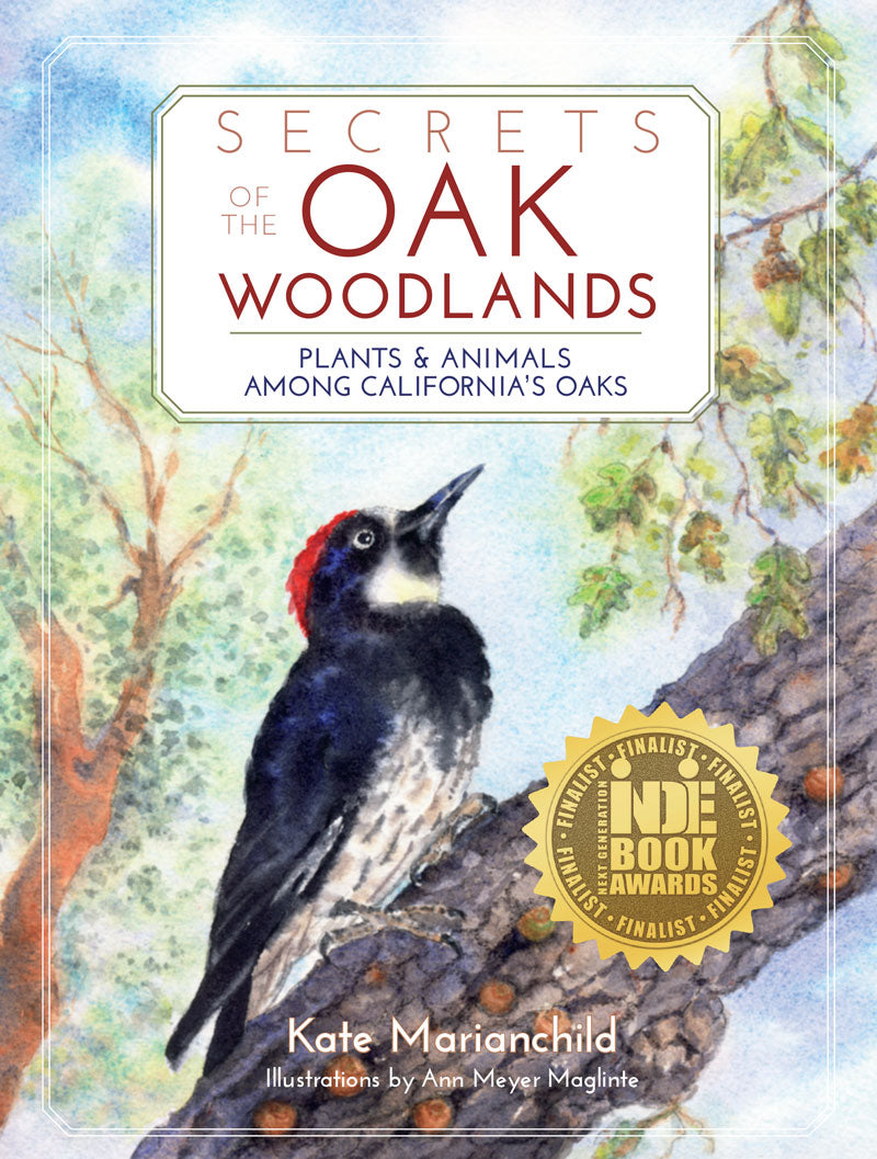 Secrets of the Oak Woodlands; Plants and Animals Among California's Oaks