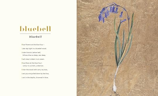 The Lost Words: A Spell Book