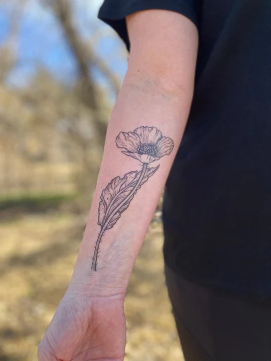 Tall California Poppy Wildflower by NatureTats