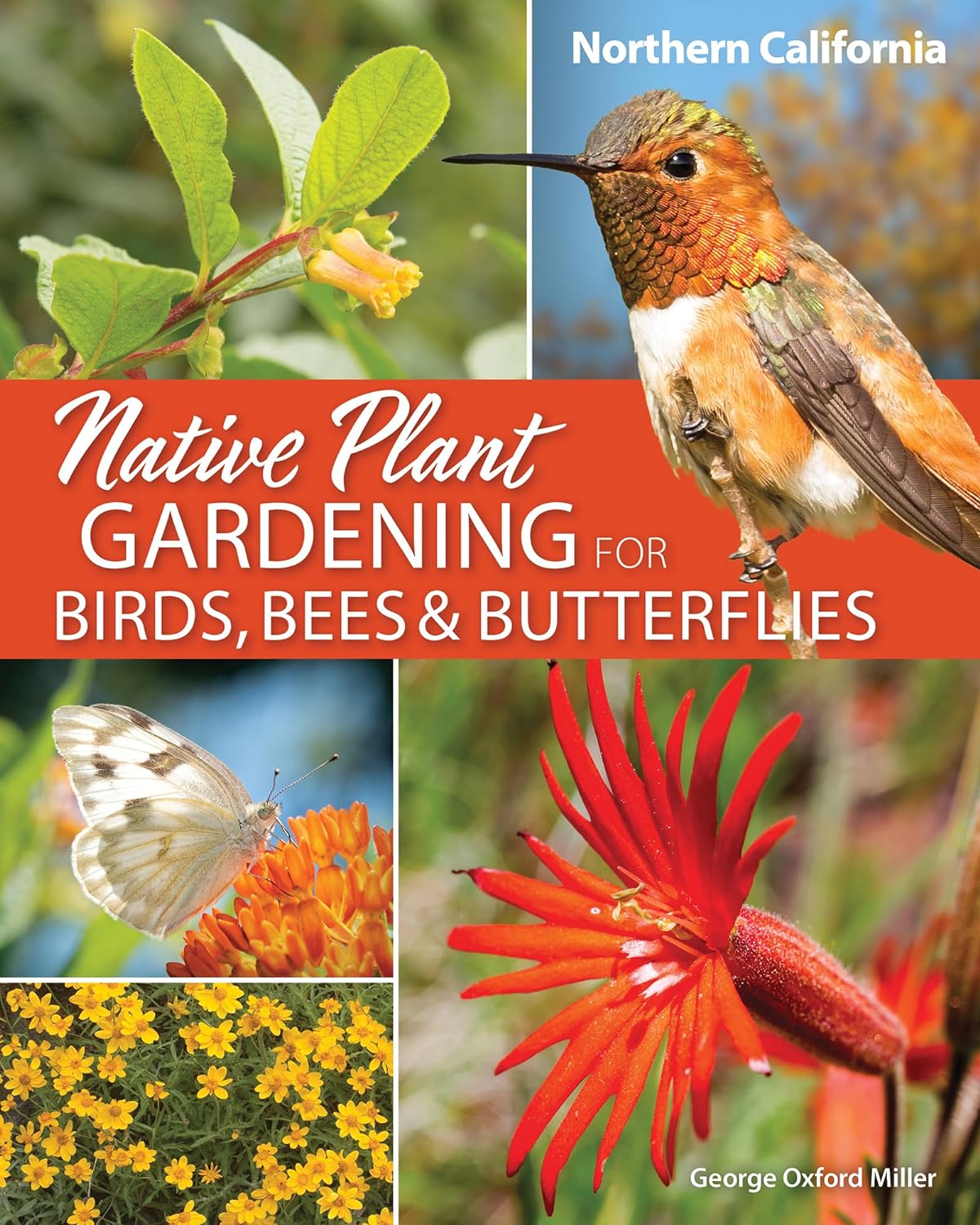 Native Plant Gardening for Birds, Bees & Butterflies