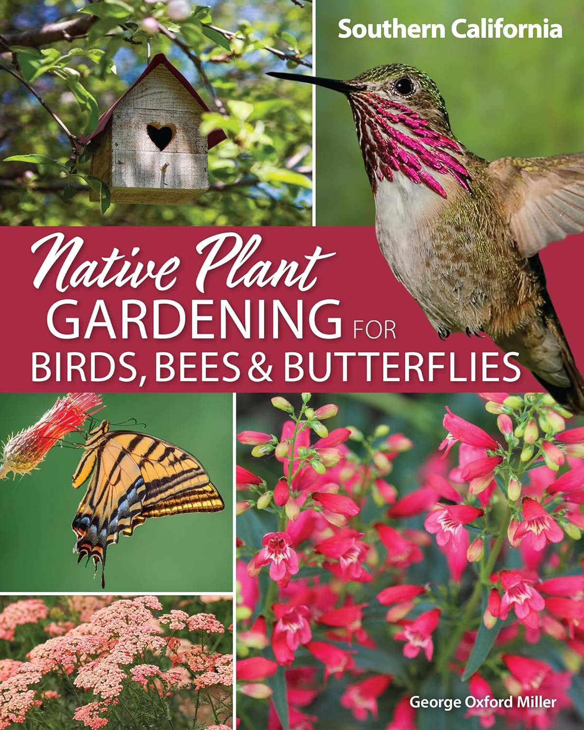 Native Plant Gardening for Birds, Bees & Butterflies