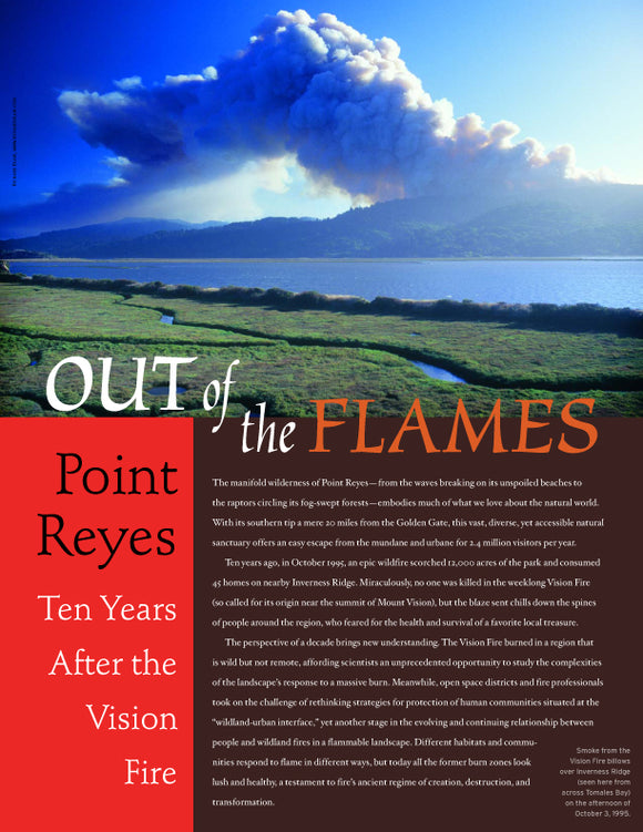 Out of the Flames: Point Reyes, Ten Years After the Vision Fire