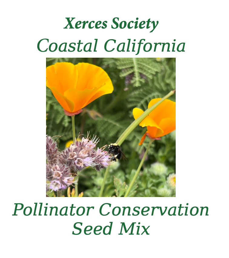 plant seed mix Xerces COASTAL CALIFORNIA Pollinator Conservation Mix – Larner Seeds