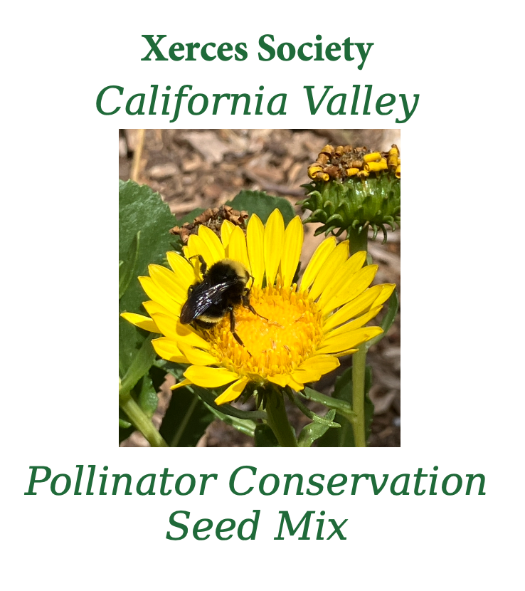pollinator flower seed mix Xerces CALIFORNIA VALLEY Pollinator Conservation Mix – Larner Seeds