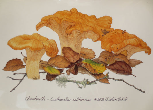 Chanterelles Notecard by Kristin Jakob