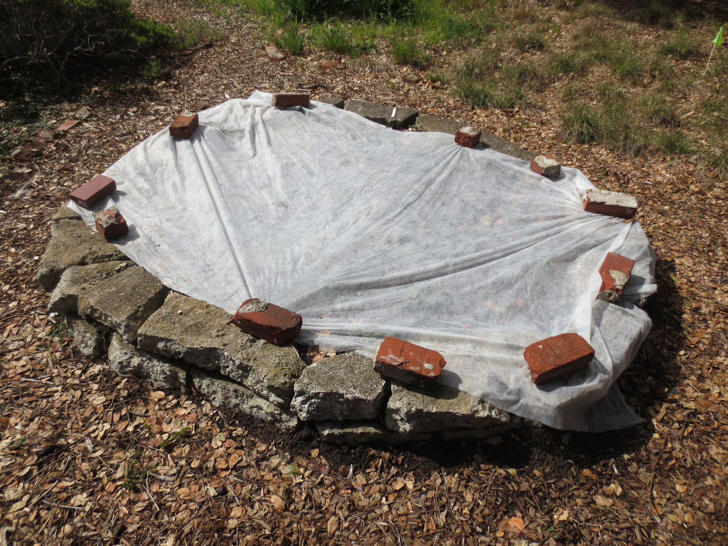 Seedbed Protector