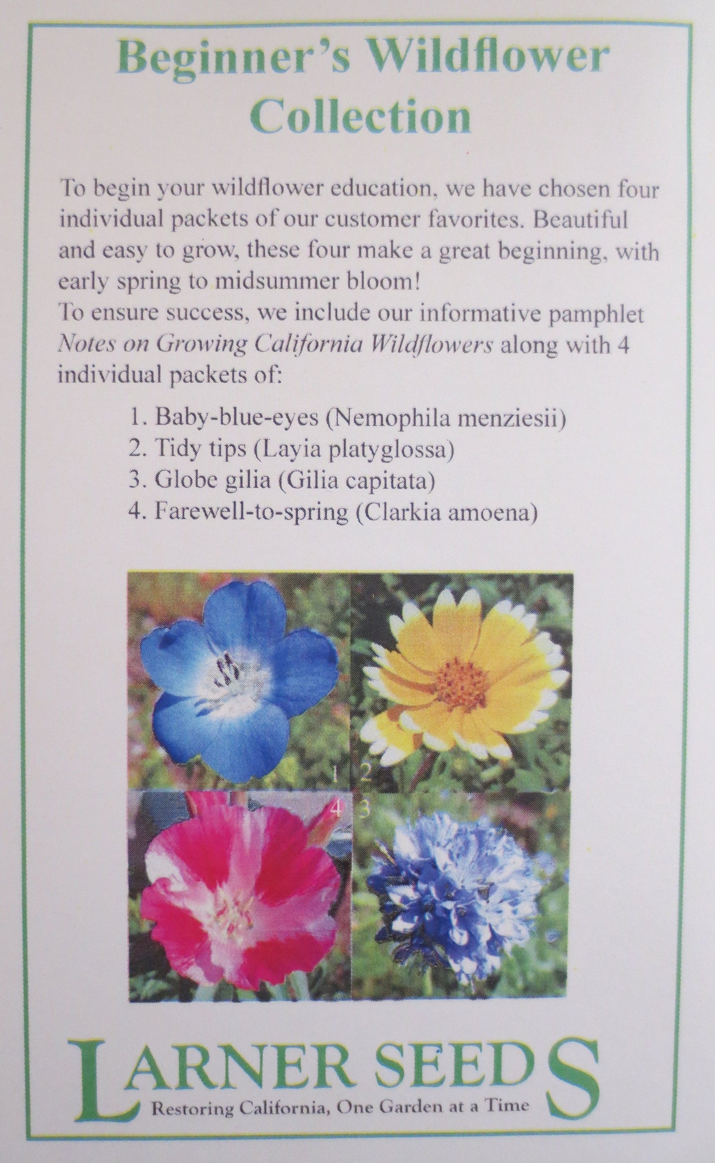 Beginner's Wildflower Collection