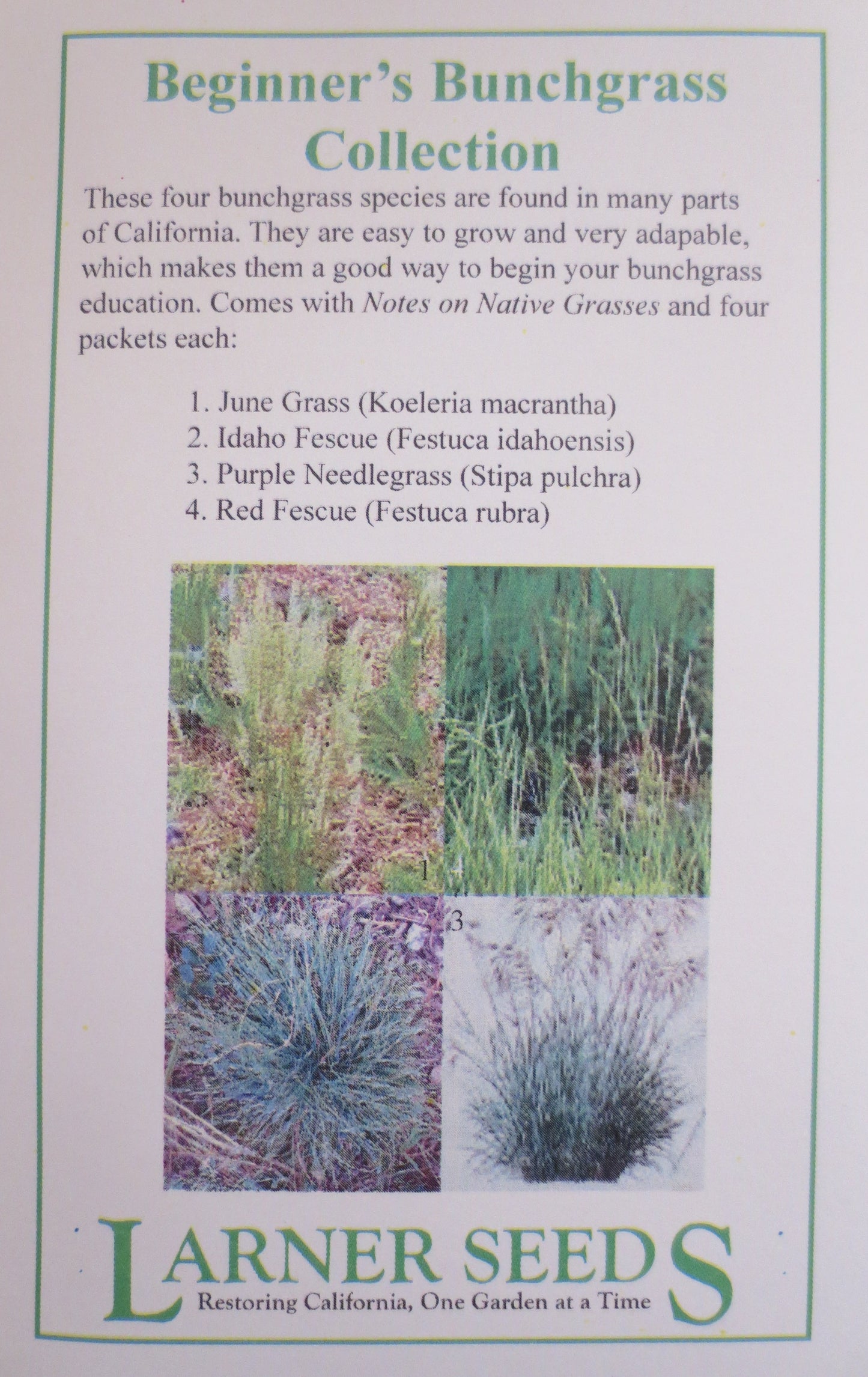 Beginner's Bunchgrass Collection