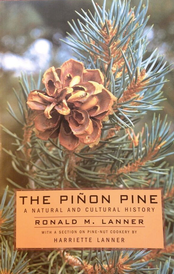The Piñon Pine