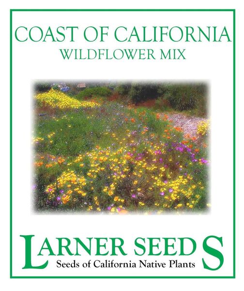 wildflower seeds philippines Coast of California Wildflower Mix – Larner Seeds