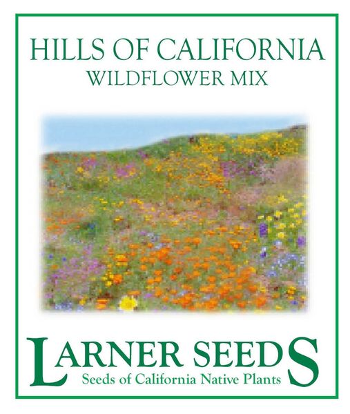 california native flower seed mix Hills of California Wildflower Mix – Larner Seeds