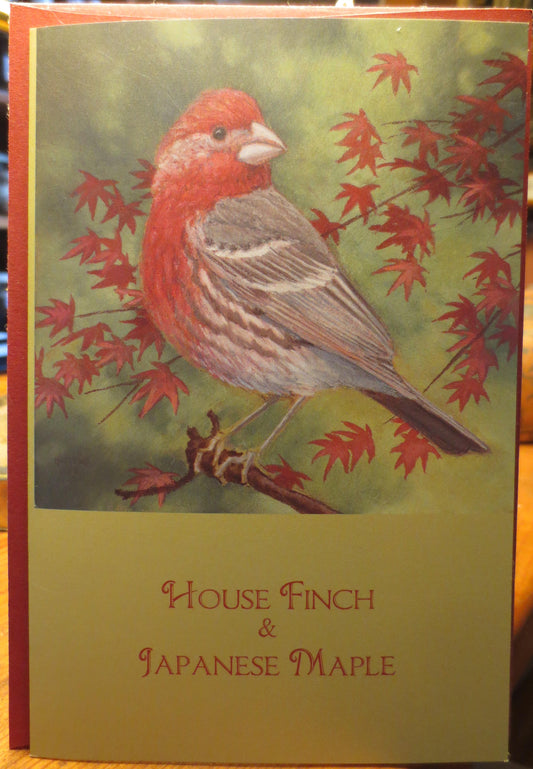 House Finch & Japanese Maple notecard by Keith Hansen