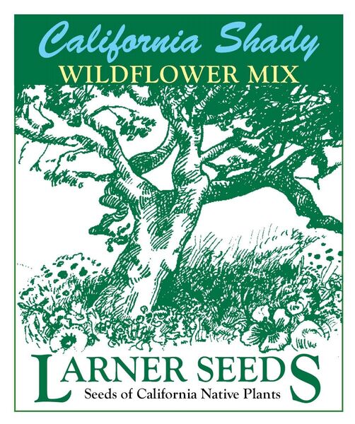wildflower seeds california California Shady Wildflower Mix