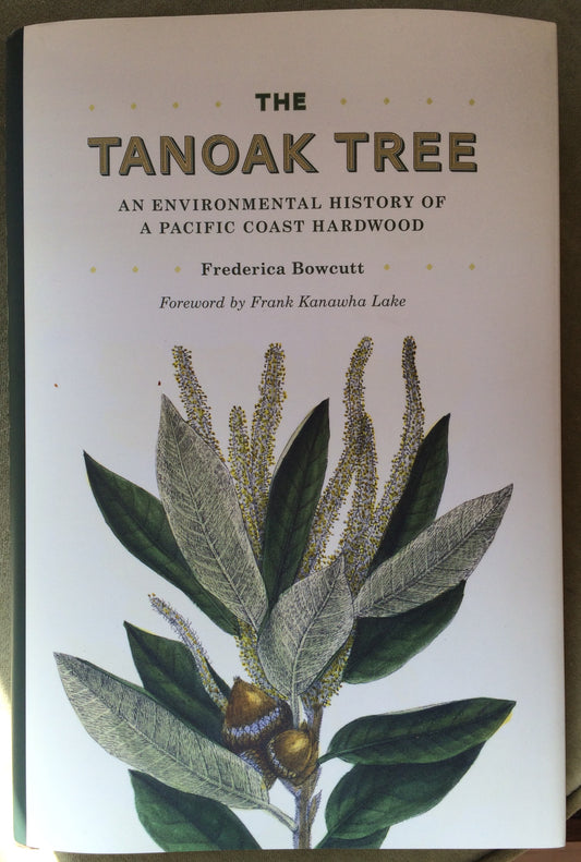 The Tanoak Tree