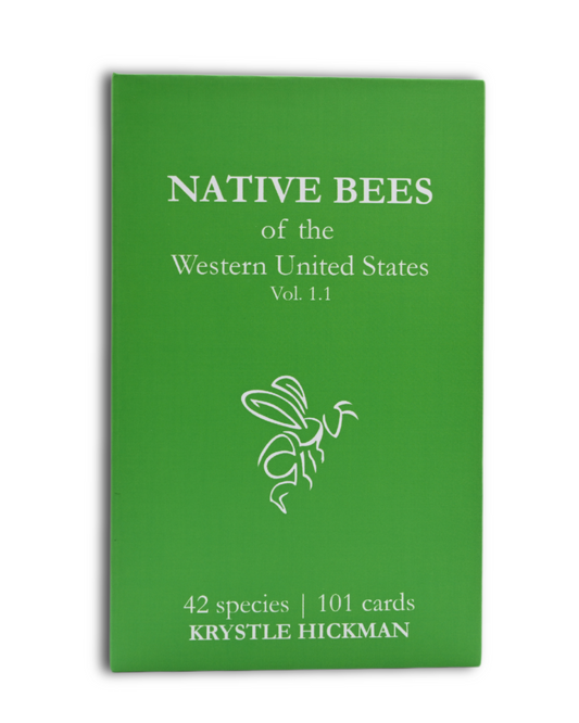 Native Bees of the Western United States Flashcards