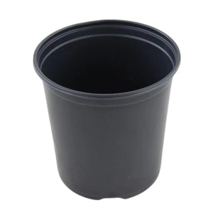 Nursery: 1 Gallon Potted Plant