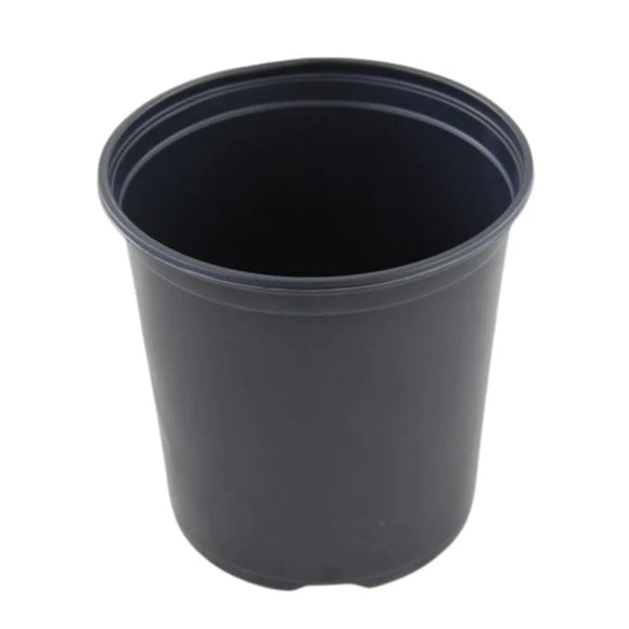 Nursery: 1 Gallon Potted Plant