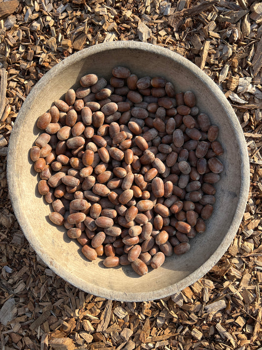 California Native Plant Culinary Academy