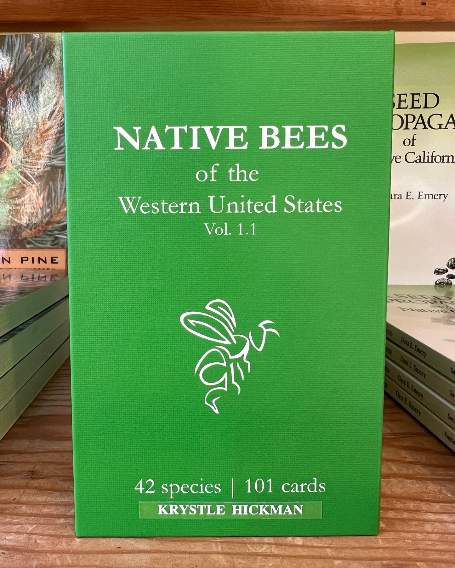 Native Bees of the Western United States Flashcards