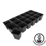Nursery: 4" Potted Plant
