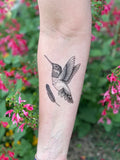 Humming Bird by NatureTats