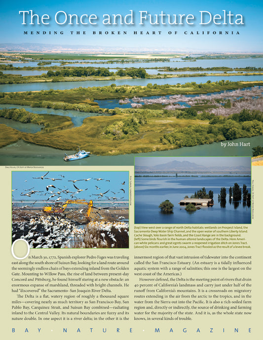 The Once and Future Delta: Mending the Broken Heart of California