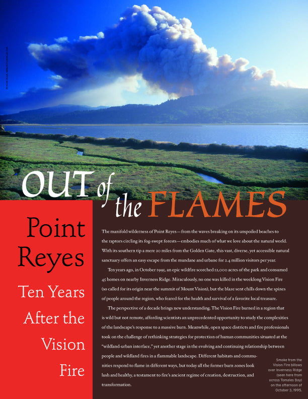 Out of the Flames: Point Reyes, Ten Years After the Vision Fire ...