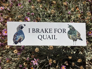 "I Brake For Quail" Bumper Sticker