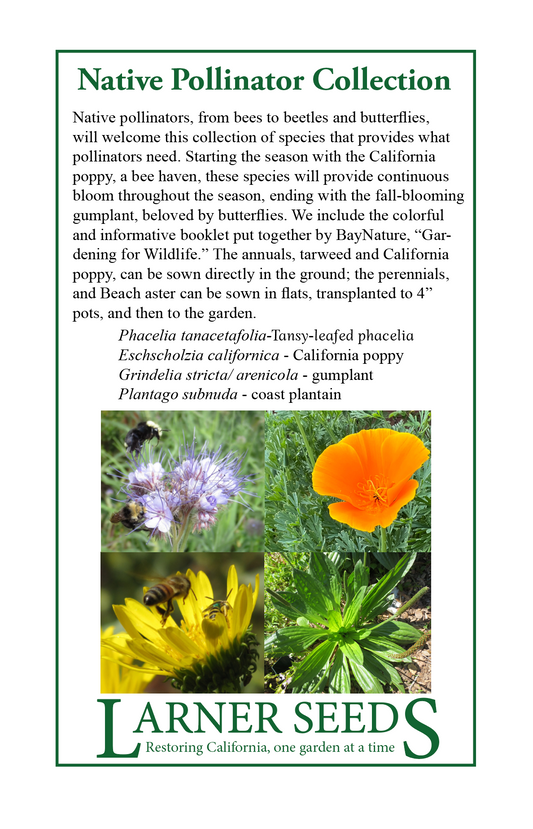 Native Pollinator Collection