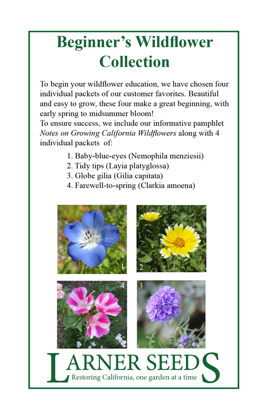Beginner's Wildflower Collection