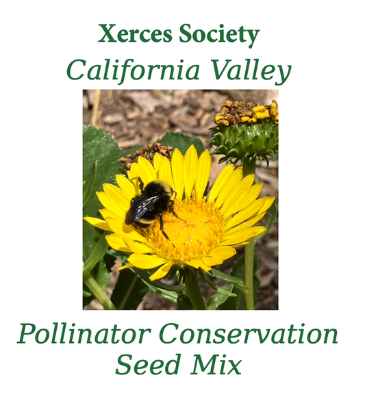 Xerces CALIFORNIA VALLEY Pollinator Conservation Mix