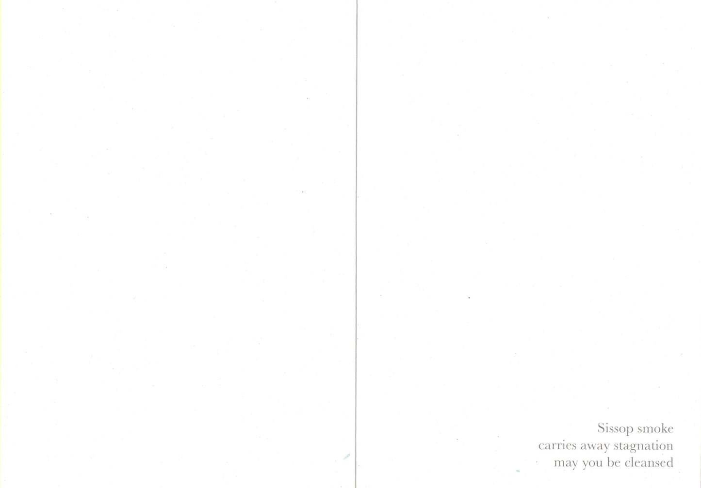 White background with text on the right side