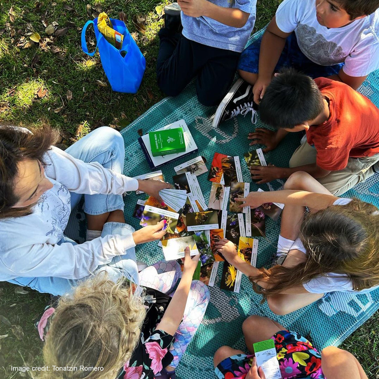 Native Bees of the Western United States Flashcards