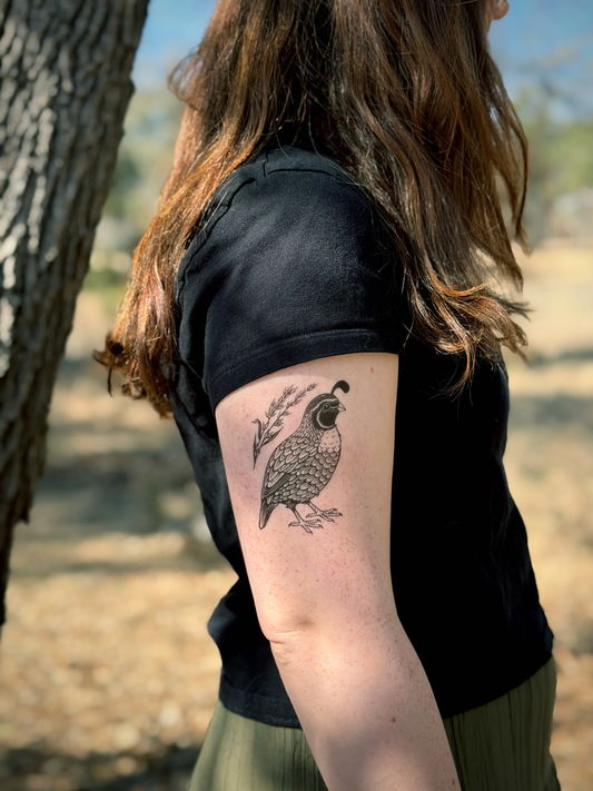 Quail by NatureTats