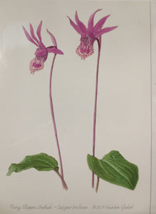 Fairy Slipper Orchid Notecard by Kristin Jakob