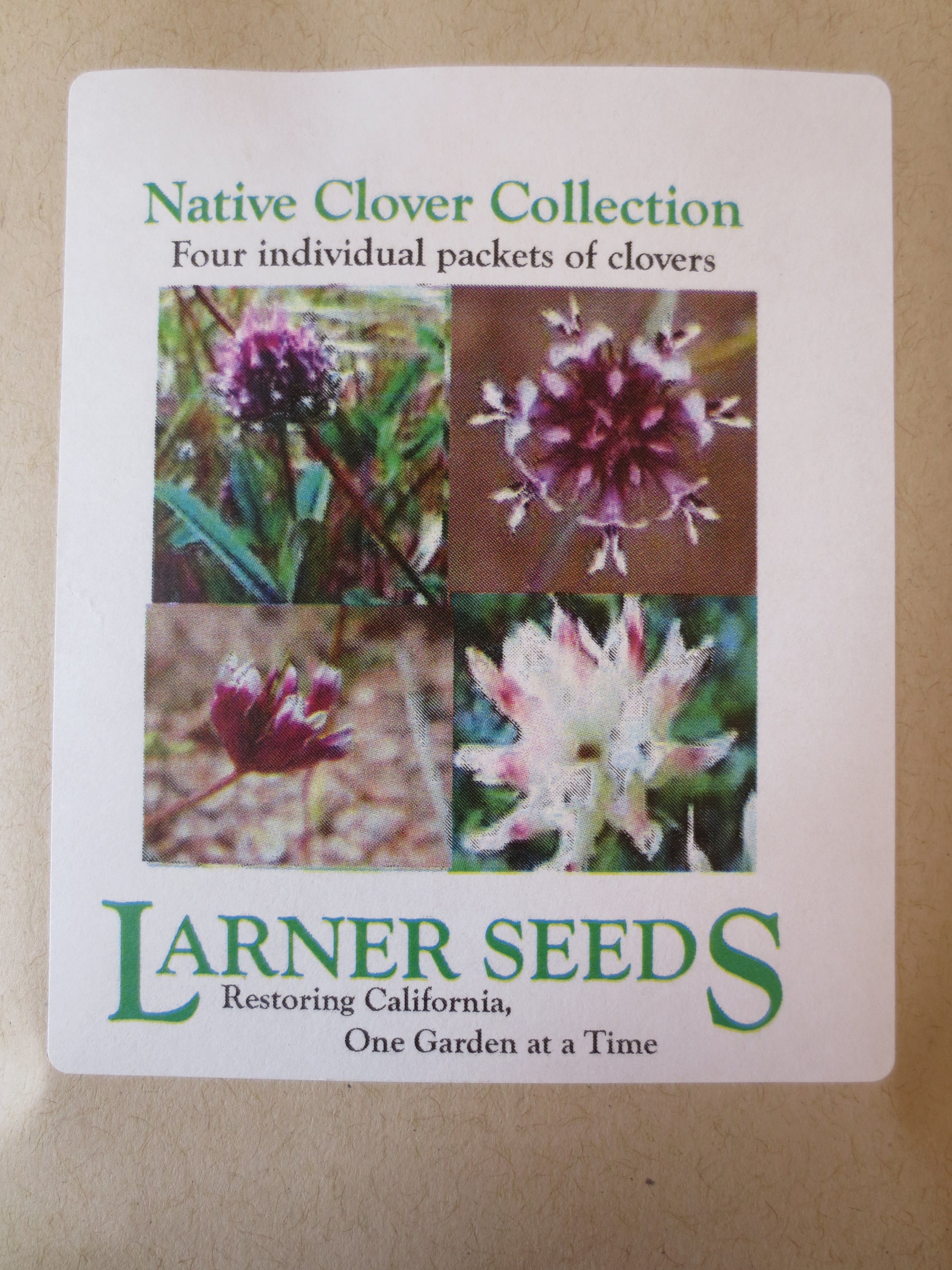 clover plant seeds California Native Clover Collection – Larner Seeds