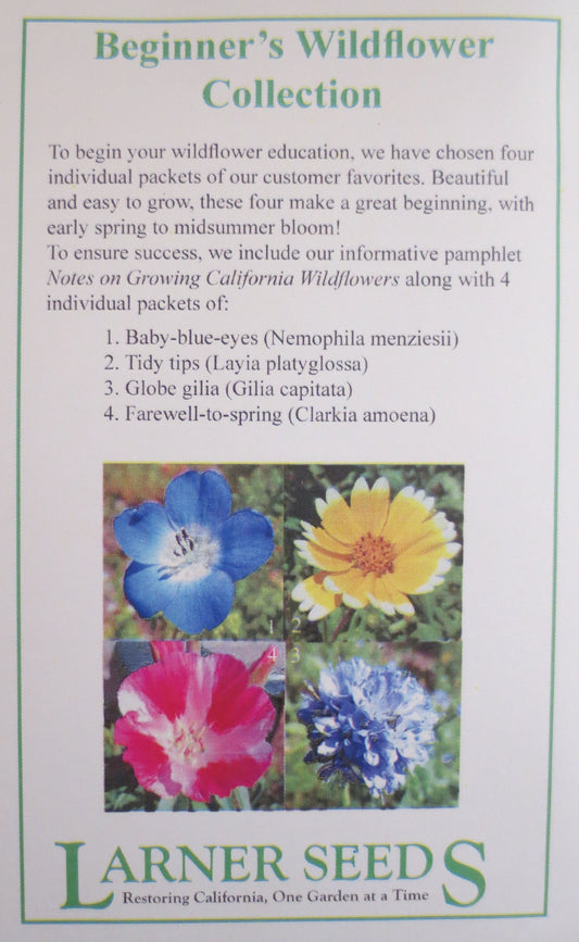 Beginner's Wildflower Collection