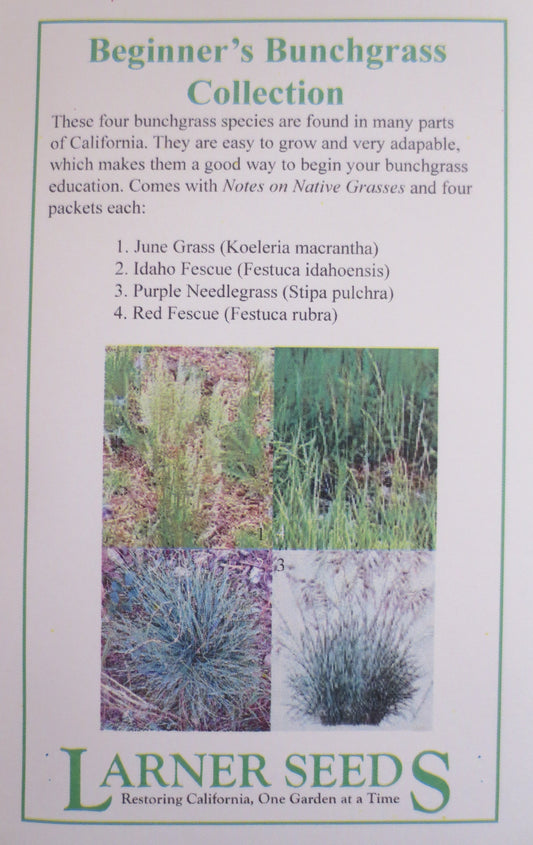 Beginner's Bunchgrass Collection