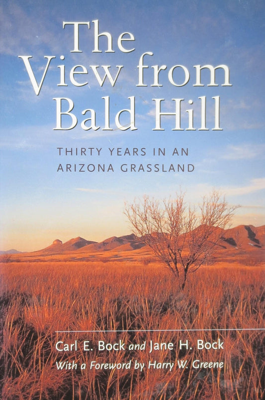 The View From Bald Hill
