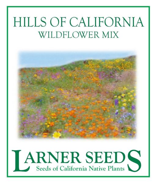Hills of California Wildflower Mix
