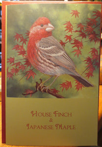 House Finch & Japanese Maple notecard by Keith Hansen