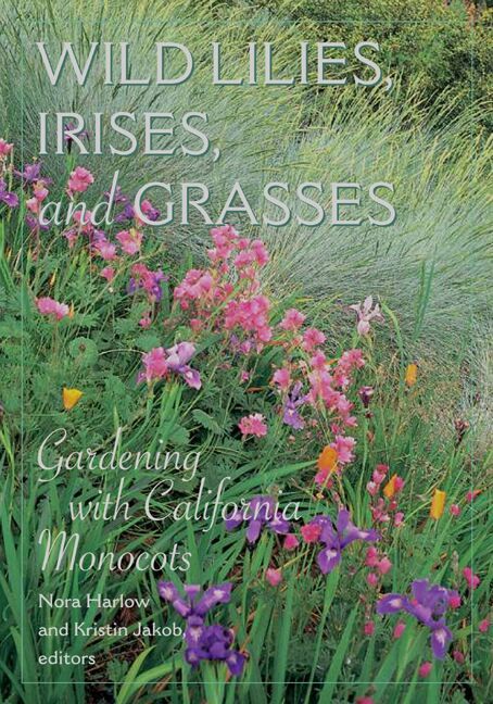 Wild Lilies, Irises, and Grasses
